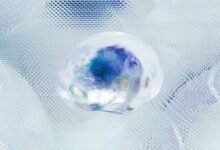 competitive intelligence premium analysis