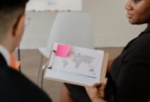 executive sector analysis report