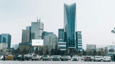 industry growth assessment report