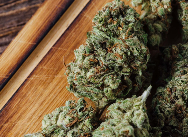 Complete Guide to Choosing Quality Cannabis Seeds